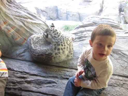 2011-10-09-CentralParkZoo - 02