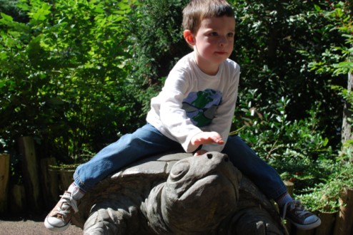 2011-10-09-CentralParkZoo - 12