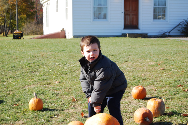 2011-11-05-ApplePicking - 029