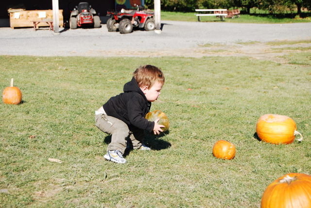 2011-11-05-ApplePicking - 050