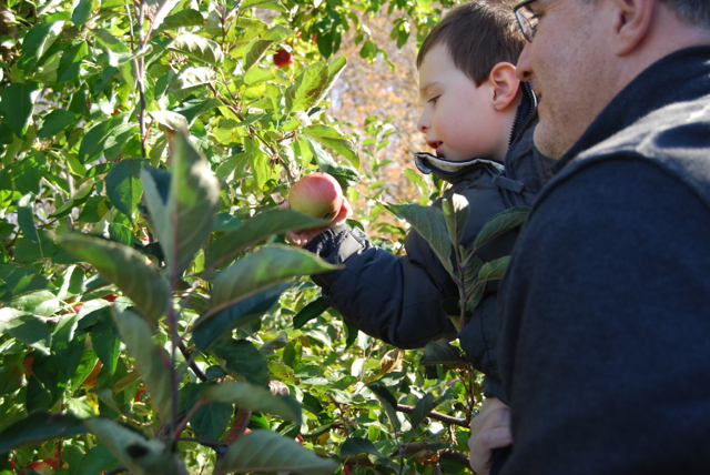 2011-11-05-ApplePicking - 070