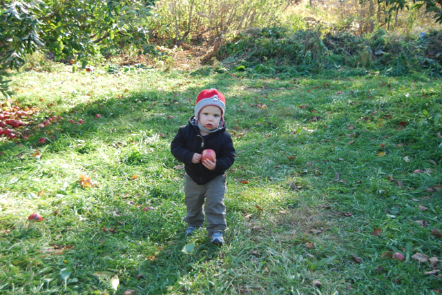 2011-11-05-ApplePicking - 085