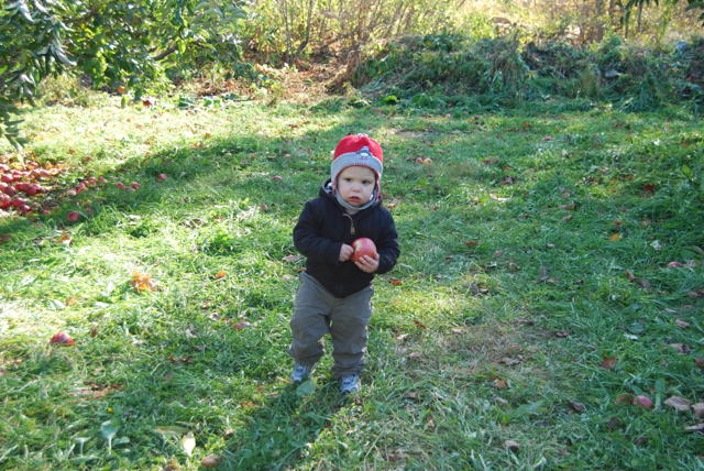 2011-11-05-ApplePicking - 086