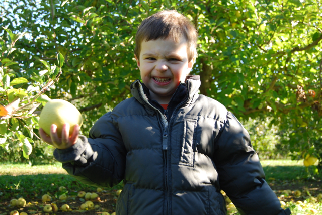 2011-11-05-ApplePicking - 113