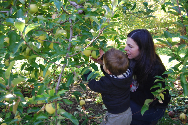 2011-11-05-ApplePicking - 119