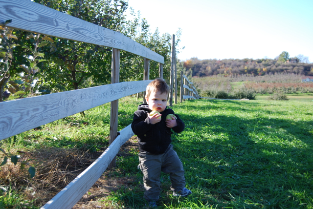 2011-11-05-ApplePicking - 138