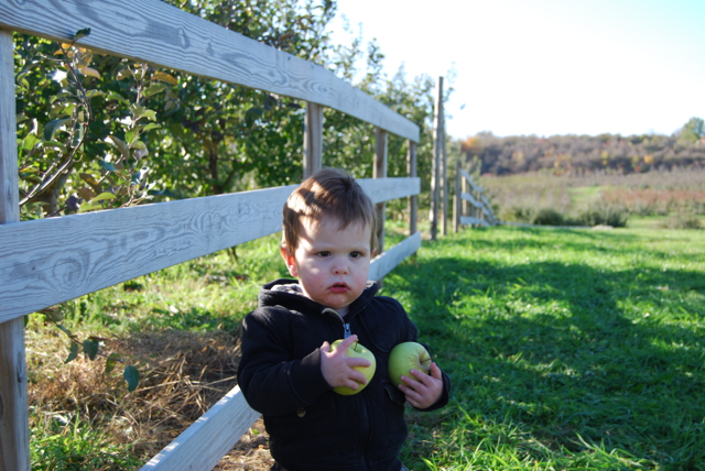 2011-11-05-ApplePicking - 147