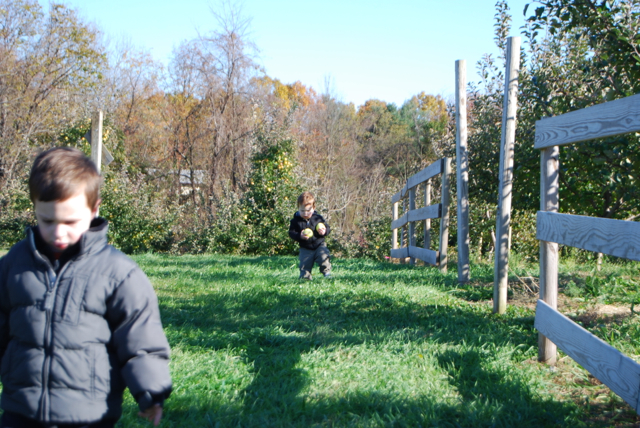 2011-11-05-ApplePicking - 159