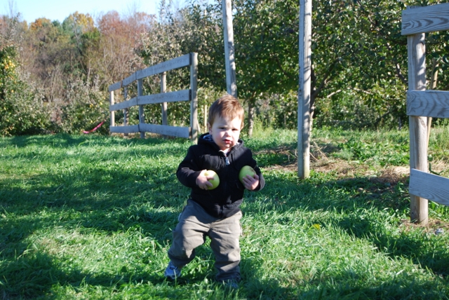 2011-11-05-ApplePicking - 163