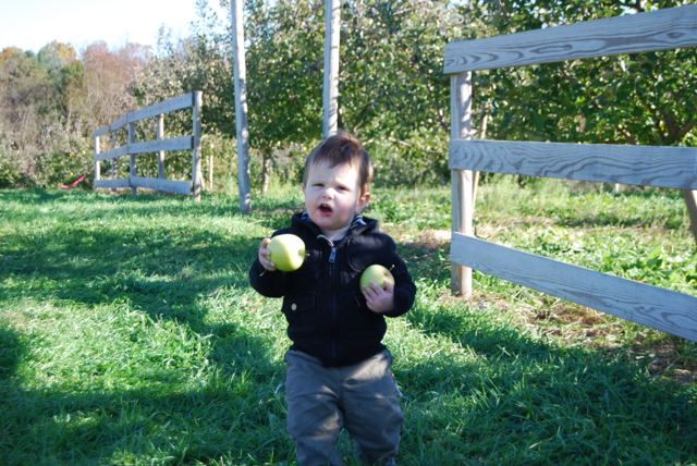 2011-11-05-ApplePicking - 166