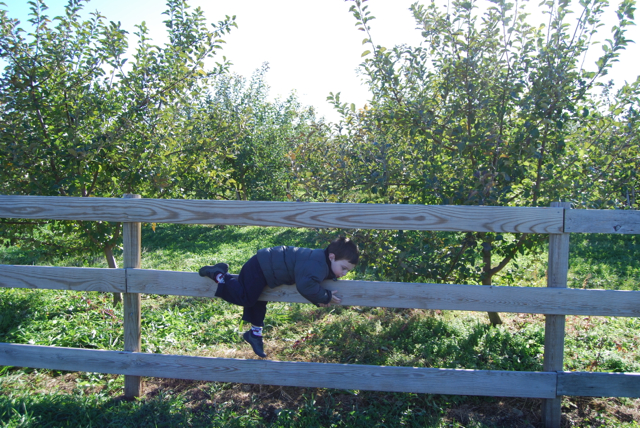 2011-11-05-ApplePicking - 169