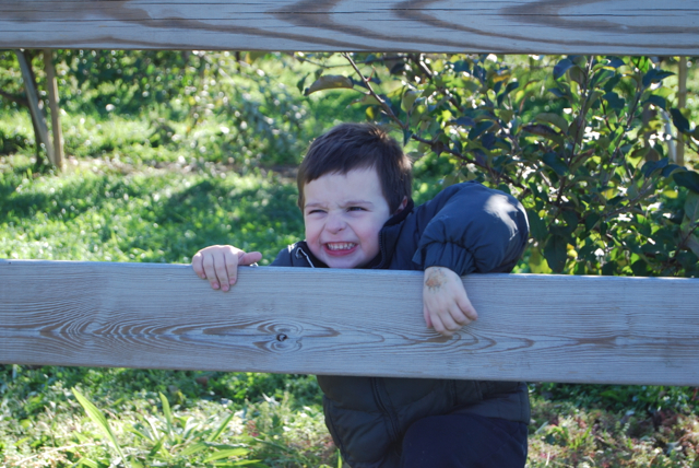 2011-11-05-ApplePicking - 173