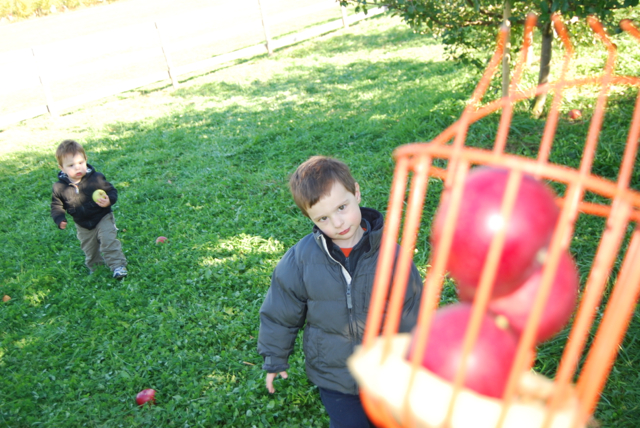 2011-11-05-ApplePicking - 187