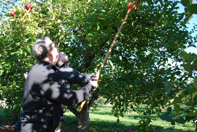 2011-11-05-ApplePicking - 209