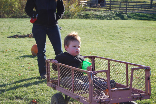 2011-11-05-ApplePicking - 292