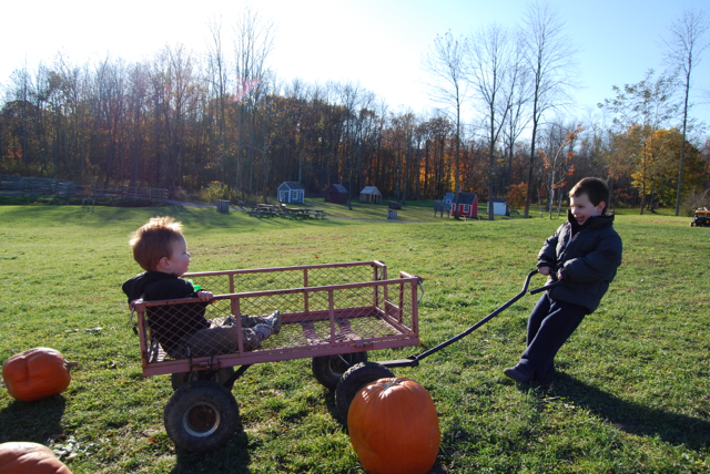 2011-11-05-ApplePicking - 299