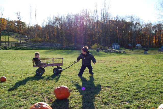 2011-11-05-ApplePicking - 318