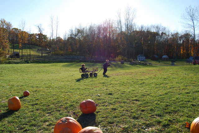 2011-11-05-ApplePicking - 344