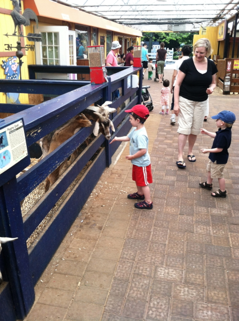 2012-06-03-PettingZoo - 06