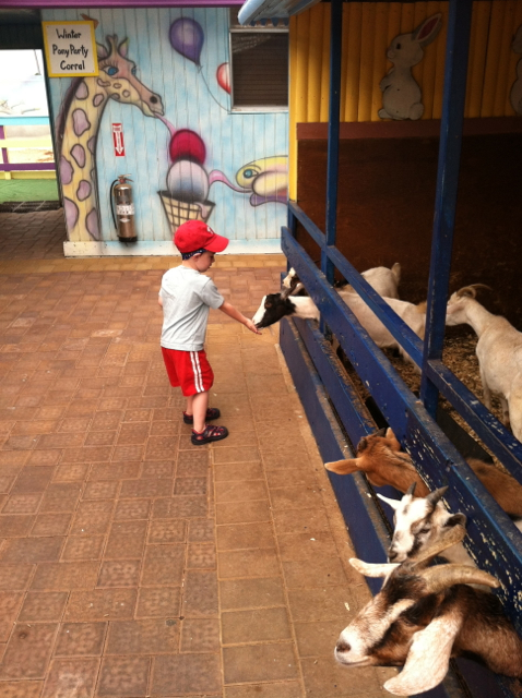 2012-06-03-PettingZoo - 11