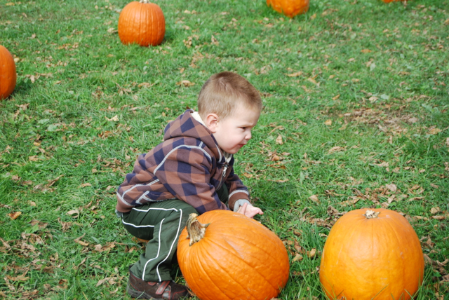 2012-10-14-Pumpkins - 001