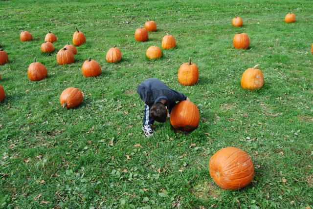 2012-10-14-Pumpkins - 012