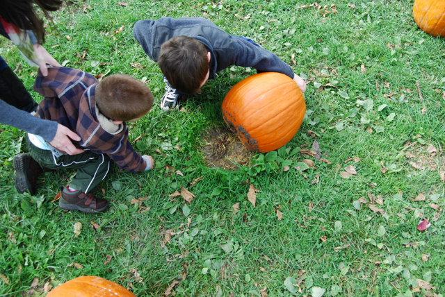 2012-10-14-Pumpkins - 014