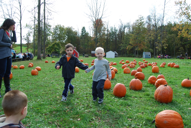 2012-10-14-Pumpkins - 017