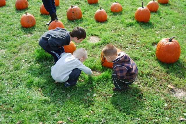 2012-10-14-Pumpkins - 050