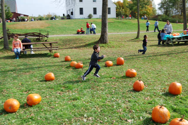 2012-10-14-Pumpkins - 052