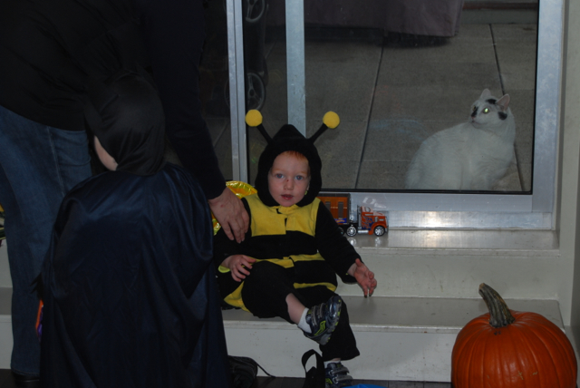 2012-10-31-Halloween - 132