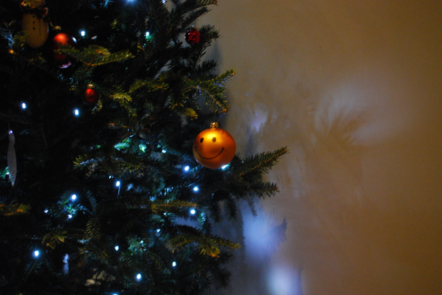 2012-12-02-DecoratingTheTree - 38