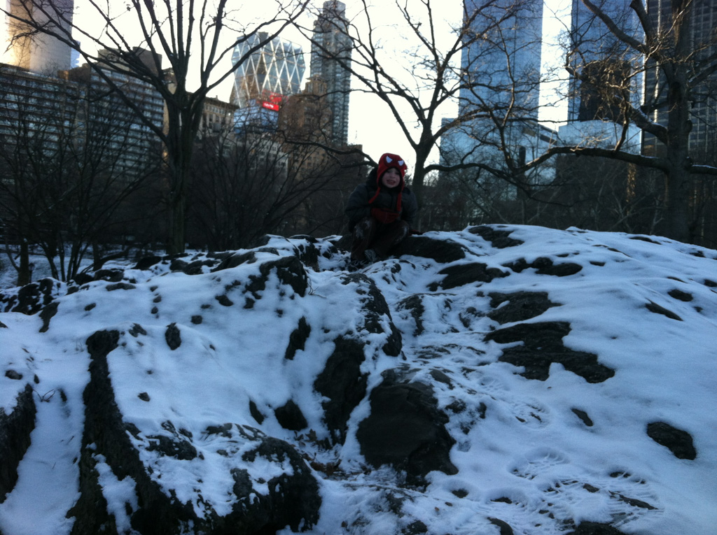 2013-01-26-CentralParkPlayGround-12.jpg