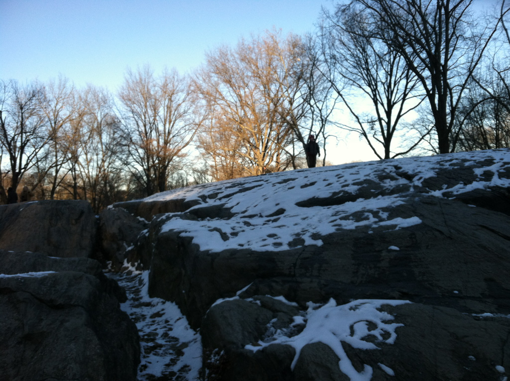 2013-01-26-CentralParkPlayGround-18.jpg