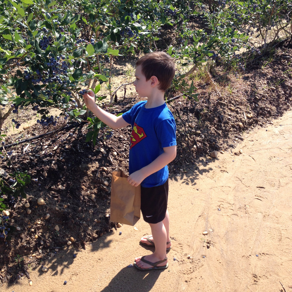 2013-06-29-MeganGuyFarm-206.jpg