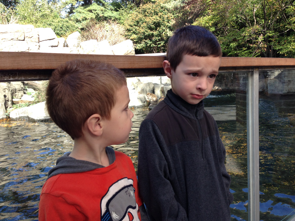 2013-10-14-CentralParkZoo-23.jpg