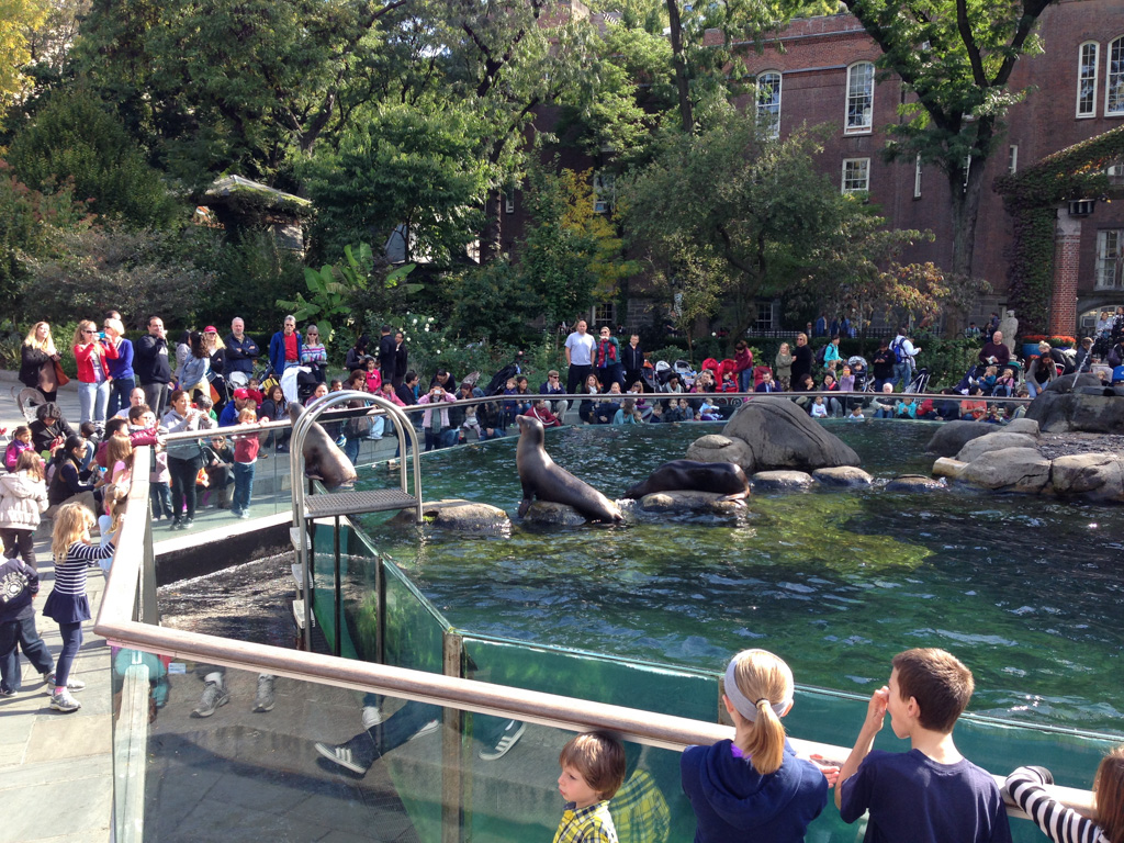 2013-10-14-CentralParkZoo-27.jpg