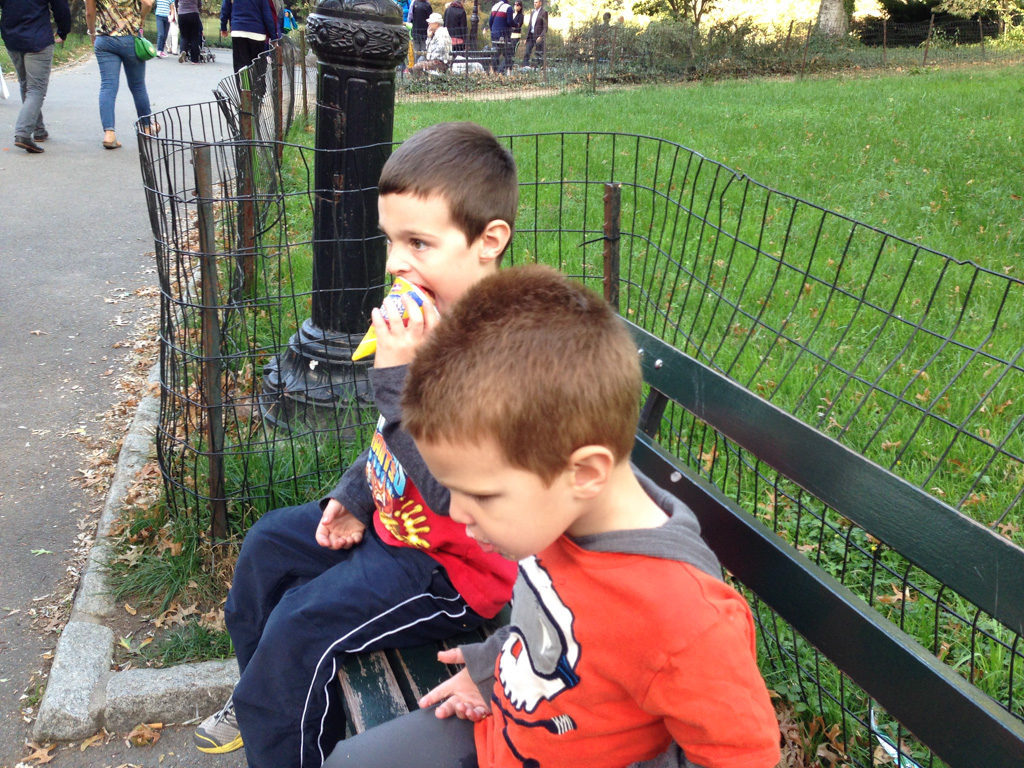 2013-10-14-CentralParkZoo-60.jpg