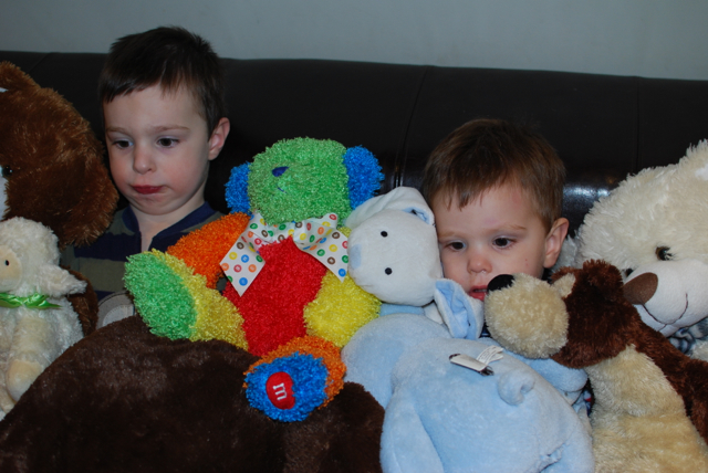 2012-02-02-AllMyAnimals - 05