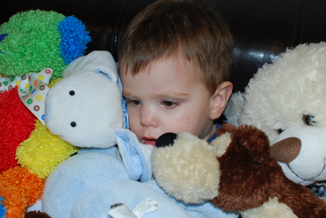 2012-02-02-AllMyAnimals - 08