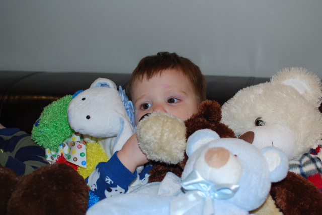 2012-02-02-AllMyAnimals - 19